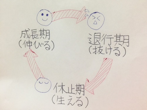 薄毛,抜け毛,頭皮ケア,発毛,育毛