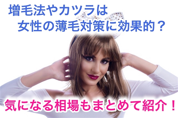 і@Jc͏̔ё΍ɌʓIHCɂȂ鑊܂Ƃ߂ďЉI